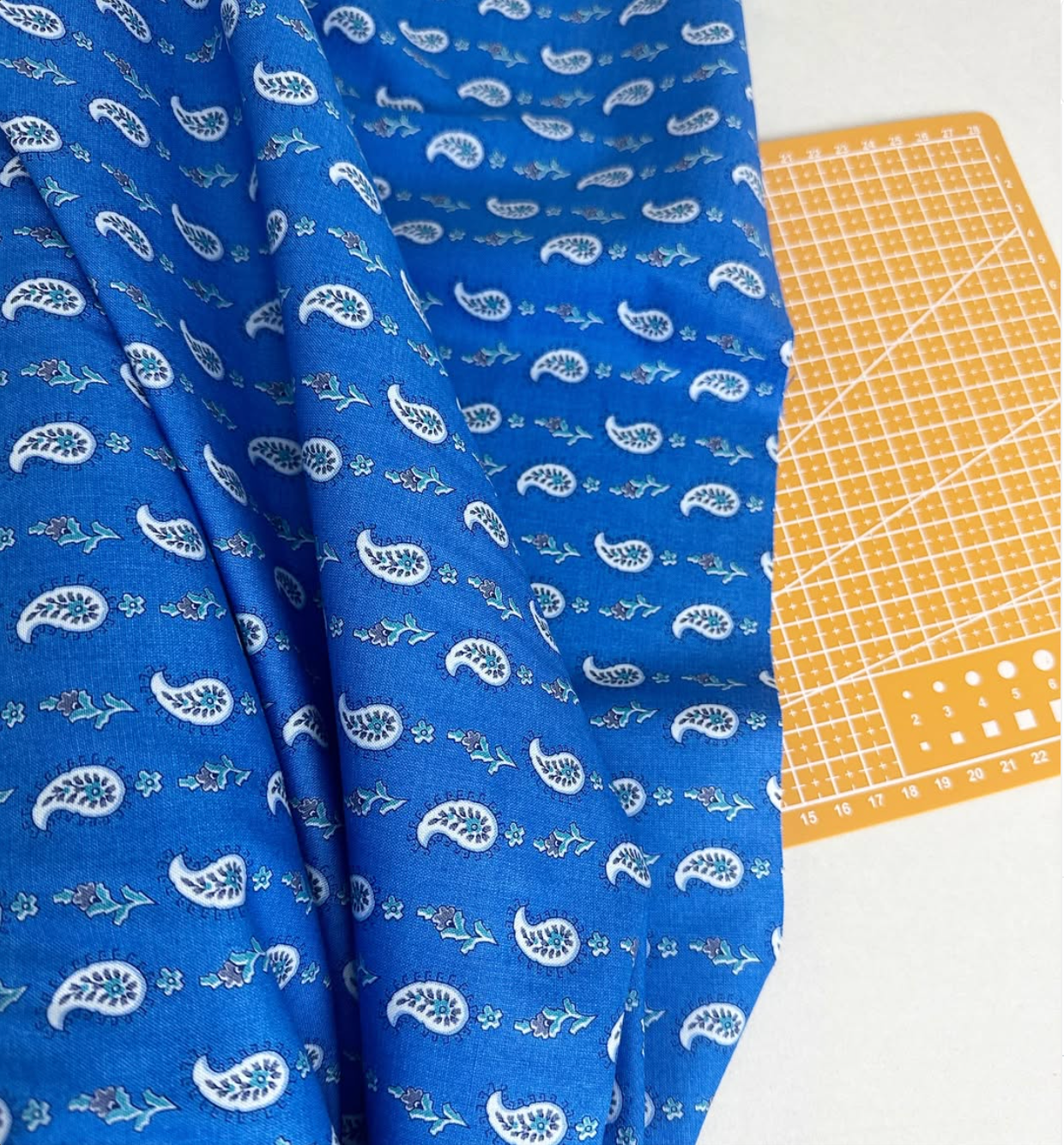 Blue Paisley Print Woven Fabric