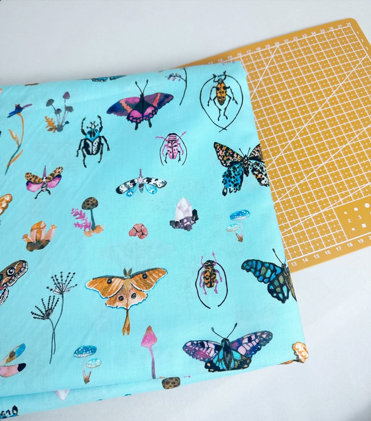 Curio Print Woven Fabric